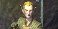 A trader