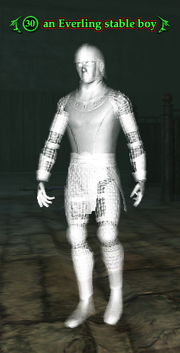 An Everling stable boy