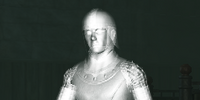 An Everling stable boy