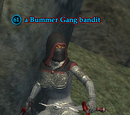 A Bummer Gang bandit