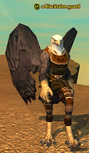 A Blacktalon guard