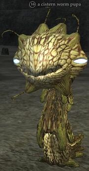A cistern worm pupa