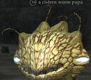 A cistern worm pupa