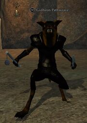 Gidheon Pathweave