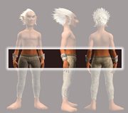 Knight's Bracers of the Stalwart (Equipped)