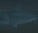 A silt shark (Pillars of Flame)