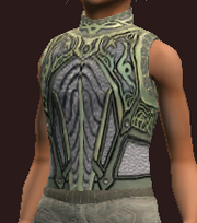 Naturewalker's Tunic of the Forestspeaker (Equipped)