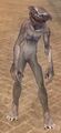 Rotting Thrall (Apprentice).jpg