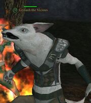Grinash the Vicious