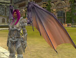 Aerakyn (Character Race) Female