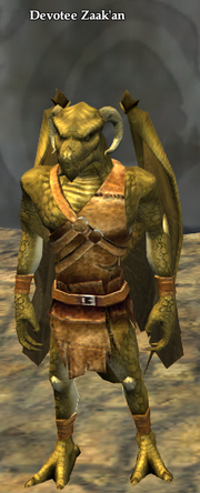 Devotee Zaak'an