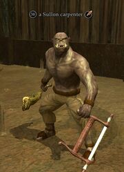 A Sullon carpenter