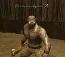 A Sullon carpenter