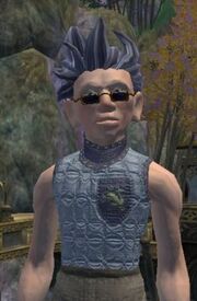 Artisan's Tunic (visible)