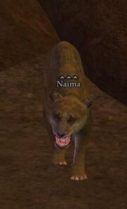 Naima