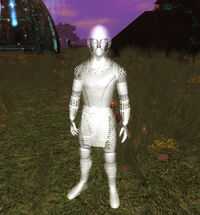 Aery Hunter IV (Adept)