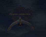A golden sunfeather falcon