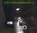 A contemplating seeker