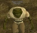 Fippit Goodsale