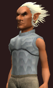 Acolyte's Wrought Plate Cuirass (Equipped)