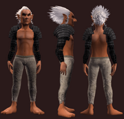 Animist's Spaulders of the Citadel (Equipped)