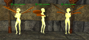 Fairy (Coercer) Placed