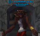 A Boombottom patcher