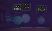 Borxx