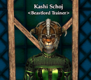 Kashi Schoj