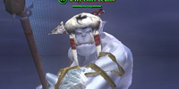 A Ry'Gorr zealot