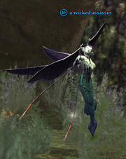 A wicked assassin