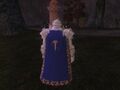 Source of Magic Kithicor Guild Heraldry.jpg