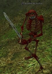 Kromok the Acolyte