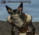 A Skindancer legionnaire