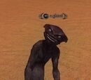 A ghoul (Sinking Sands)