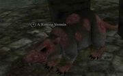 Arottingvermin