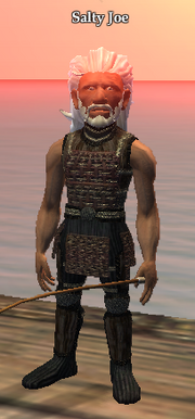 Salty Joe (Freeport)