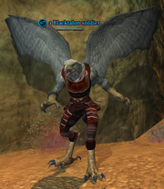 A Blacktalon soldier