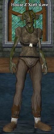 House Z'Xiett slave