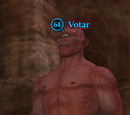 Votar