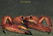A clawsnap