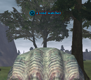 A void watcher