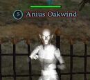 Anius Oakwind