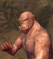 Jyrok the Stone