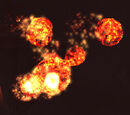 A scorching ember