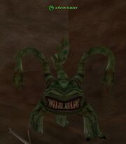 A flesh feaster