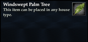 Windswept Palm Tree