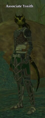 Associate Yssith