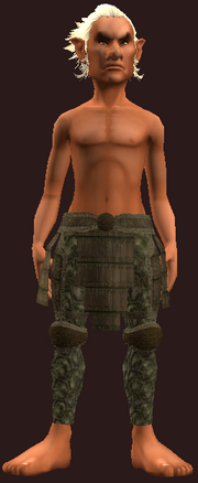 Wanderer's Leather Pants (Equipped)