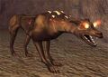 Race hellhound.jpg